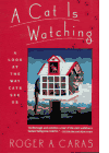 A Cat Is Watching