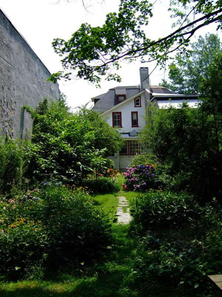 back garden