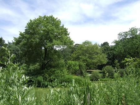 Saylor's Grove