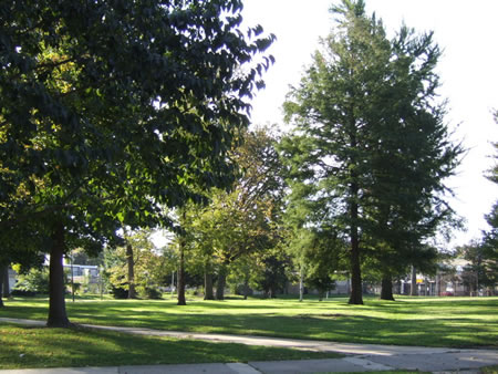 vernon park