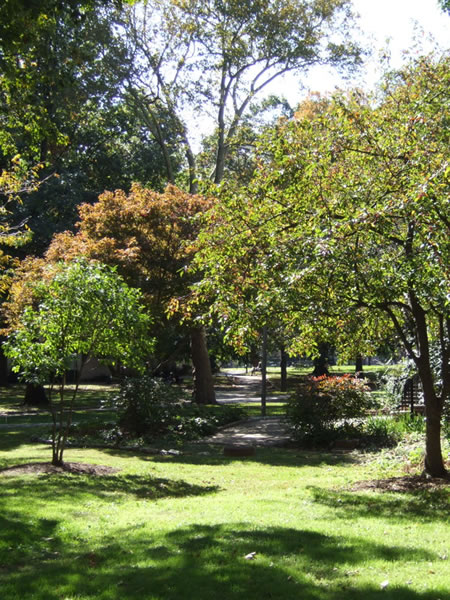 vernon park