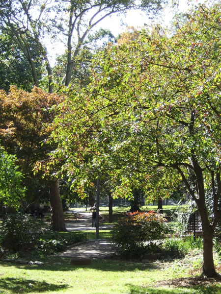 vernon park