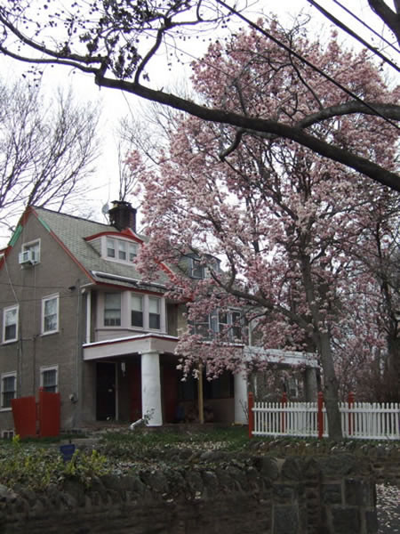penn-knox