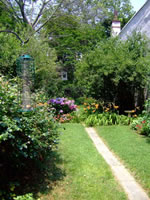 back garden