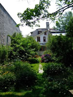 back garden