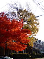 germantown