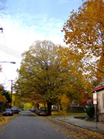 germantown