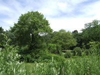 saylor's grove