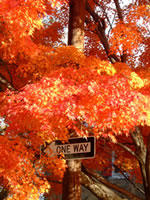 germantown