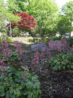 Vernon Park