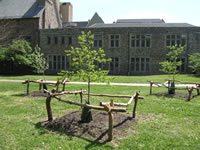 Vernon Park