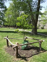Vernon Park