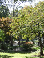 vernon park