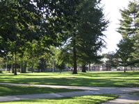 vernon park