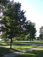 vernon park