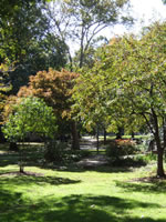 vernon park