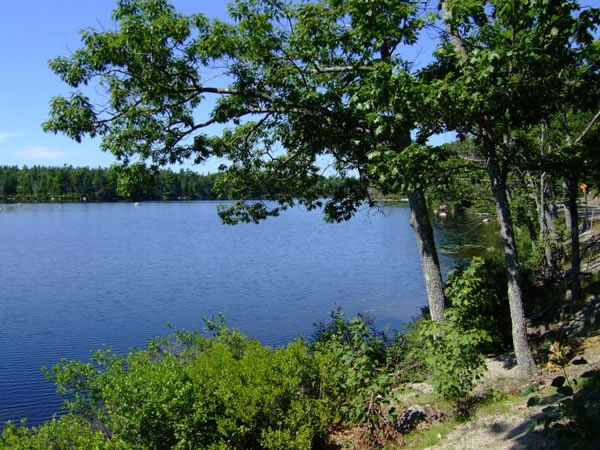 maine coast