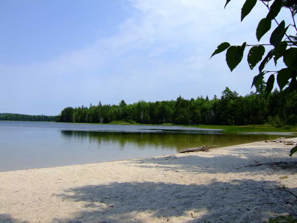 maine coast