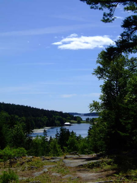 maine coast